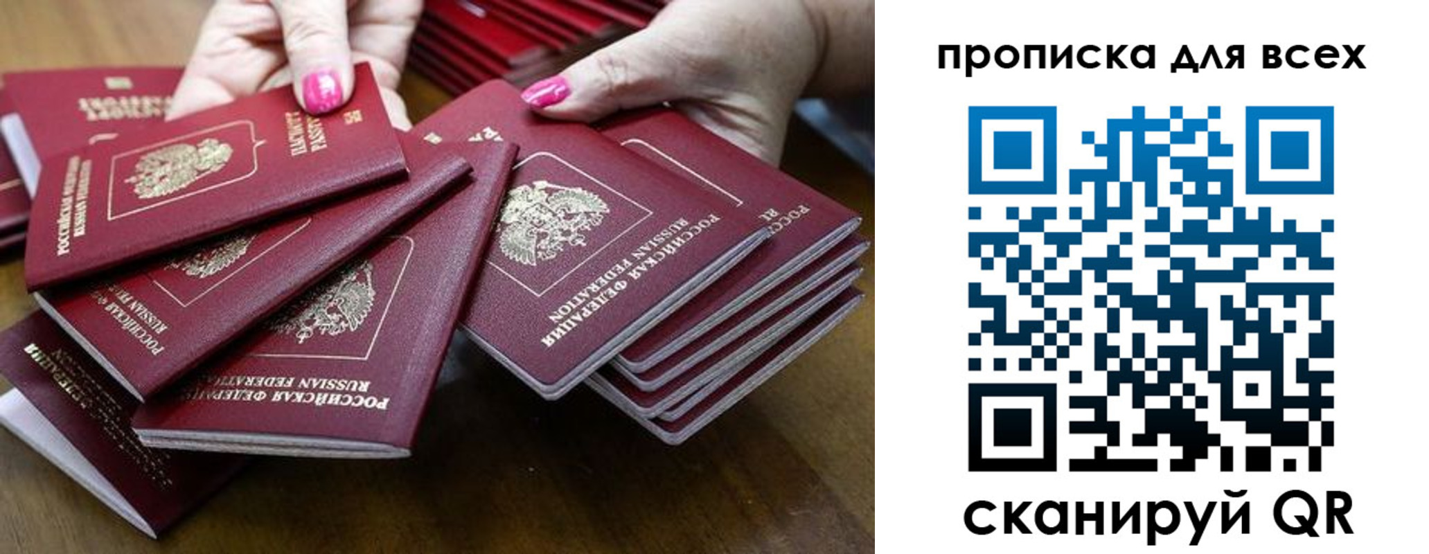 прописка гарантия в Сухиничи
